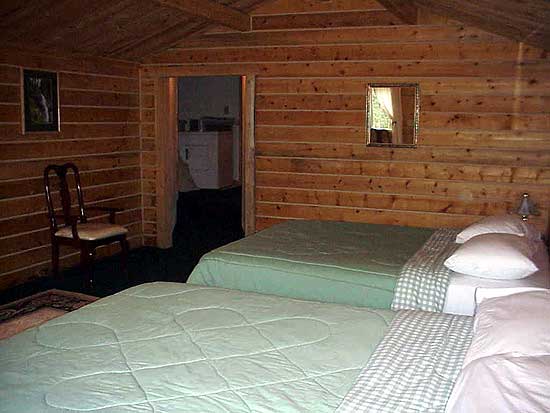 Beautiful, comfortable and modern cabins for rent