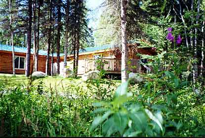 Modern and comfortable cabins for rent on Alaska's Kenai Peninsula