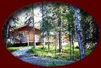 Private cabins in wooded settings