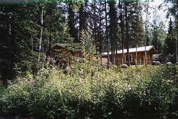 Modern and comfortable cabins for rent on Alaska's Kenai Peninsula