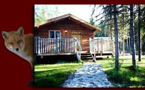 Comfortable and modern cabins for rent on the Kenai Peninsula