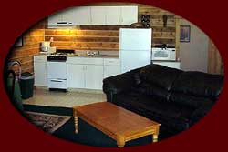 Comfortable and modern cabins for rent on the Kenai Peninsula