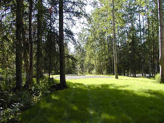 34 spaces in our RV Park each in a private wooded setting