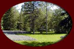 34 spaces in our RV Park each in a private wooded setting