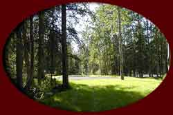 34 spaces in our RV Park each in a private wooded setting