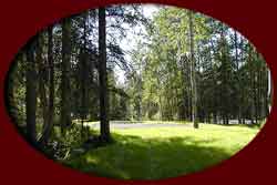 34 spaces in our RV Park each in a private wooded setting