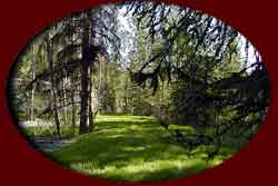 34 spaces in our RV Park each in a private wooded setting